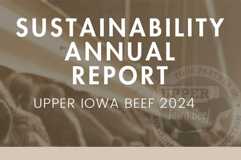 Sustainability Annual Report cover for Upper Iowa Beef 2024 with logo and background of cattle.