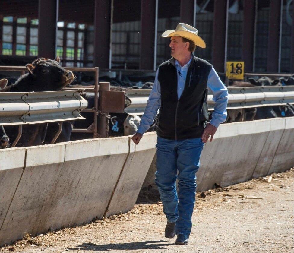 Man in a cowboy hat and vest walks by cows in a cattle pen at a farm or ranch.
