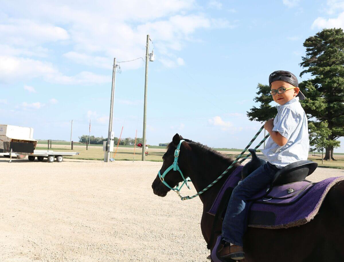 Young boy wearing glasses rides a small black horse with a purple saddle on a sunny day.