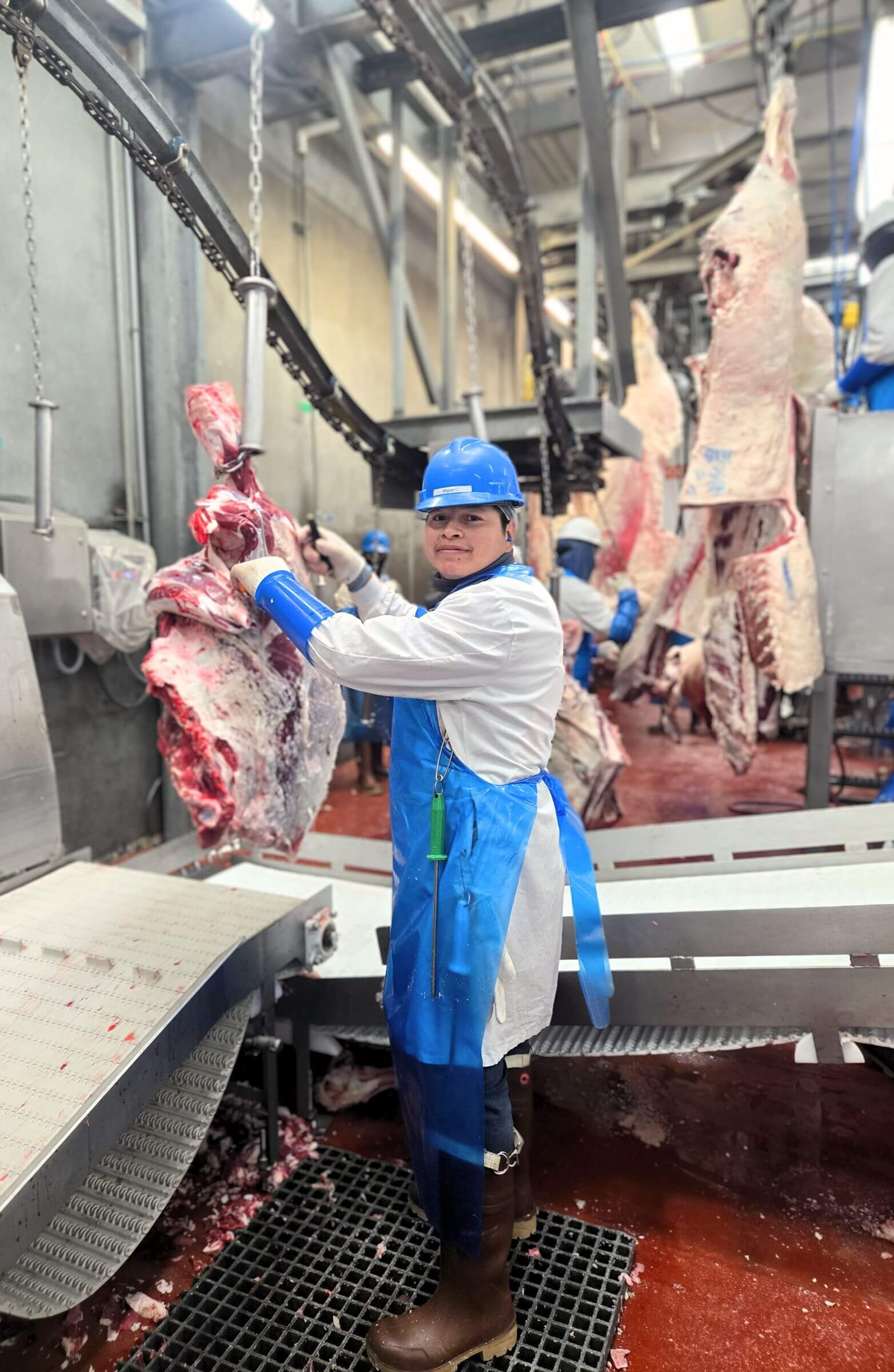 Worker in blue safety gear processes hanging meat in a large industrial meat processing facility.