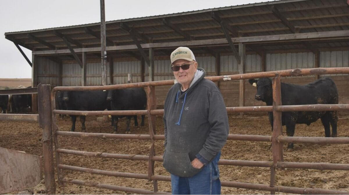 Stardell Farms owner in front of herd