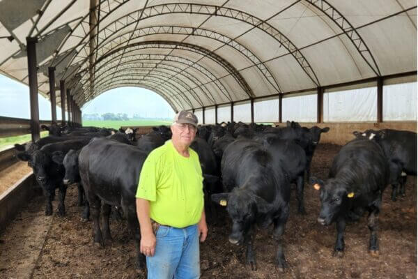 Trail S End Farm herd