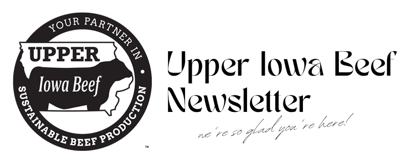 Upper Iowa Beef logo and "Upper Iowa Beef Newsletter— we're so glad you're here!" text on a light background.