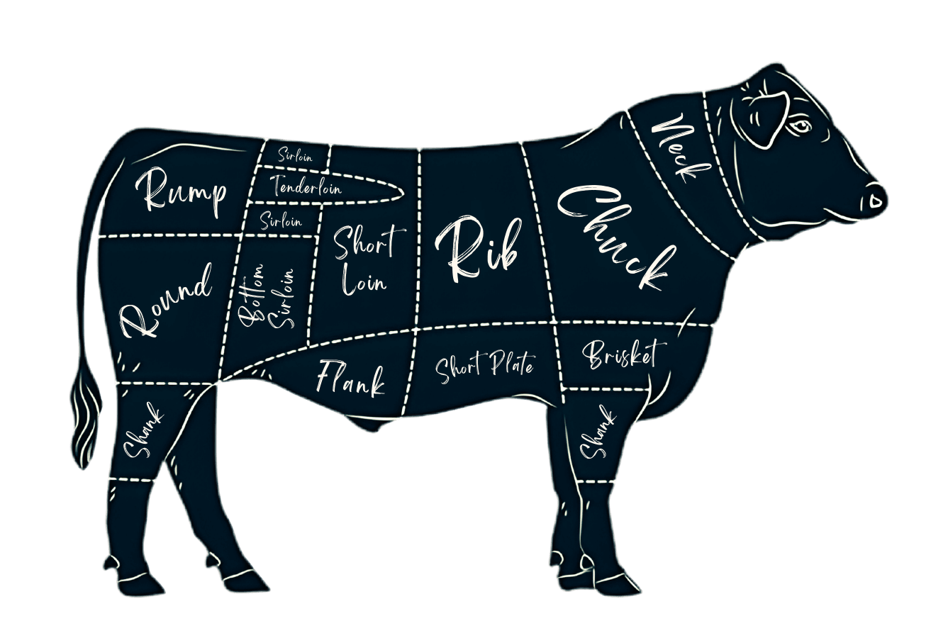 Diagram of a cow with labeled beef cuts, including rib, chuck, rump, sirloin, brisket, and shank.