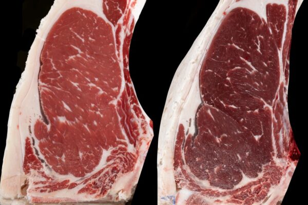 Side-by-side example of a dark-cutter piece of beef.