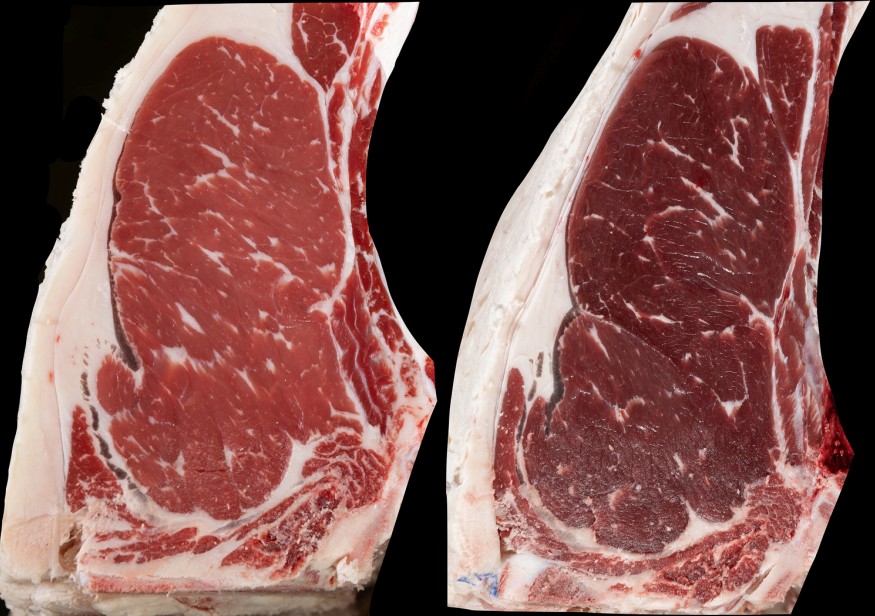 Side-by-side example of a dark-cutter piece of beef.